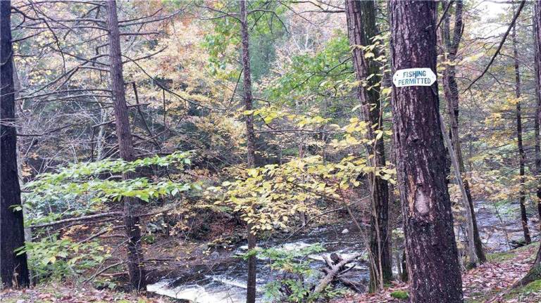 The opportunity of a lifetime awaits in Minisink The opportunity of a lifetime awaits in Minisink