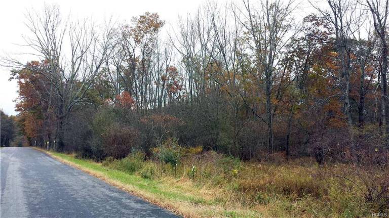 The opportunity of a lifetime awaits in Minisink The opportunity of a lifetime awaits in Minisink