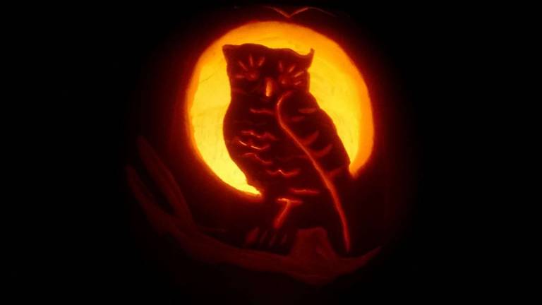Carving it up Submitted by Maija Cantwell of Warwick, N.Y.