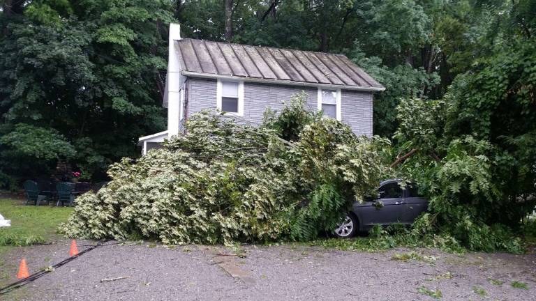 UPDATE: Power back on in Warwick Photo courtesy of Carol Beaugard Tree down on Orchard Street in the Village of Warwick