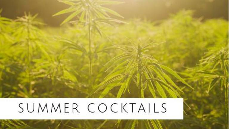 Orange County Land Trust’s cocktail benefit set for Aug. 22 Orange County Land Trust’s cocktail benefit set for Aug. 22