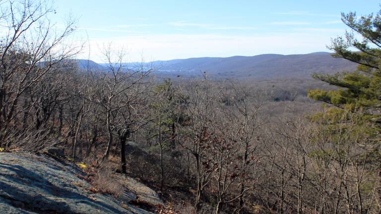 OC Land Trust announces protection of 116 acres in the Town of Warwick OC Land Trust announces protection of 116 acres in the Town of Warwick