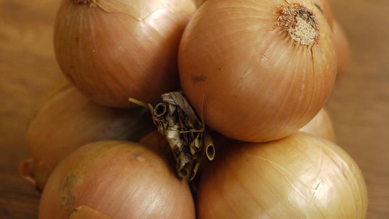Pine Island onion-eating contest set for Sept. 1 Pine Island onion-eating contest set for Sept. 1