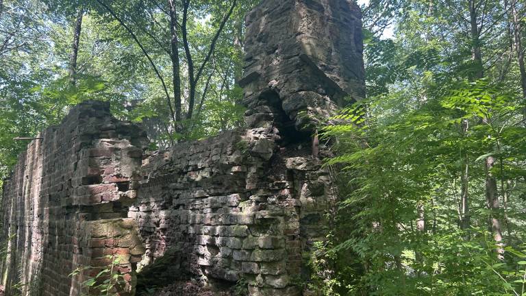 Summer sightseeing: Where history was made <b>Long Pond Ironworks: 1334 Greenwood Lake Turnpike, Hewitt. (Photo by Luke Rowe)</b>