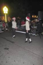 Dancers from the Sheahan Gormley Irish Dance Troupe performed.