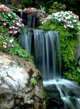A backyard waterfall.