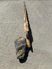 Revolutionary War-era bayonet found in Chester.