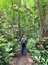 Rhododendron jungle hike