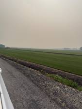 Haze hangs over the sod fields of Pine Island Turf. Photo: Kelsey Gurda