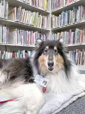Appreciative listener with sharp ears at Florida library