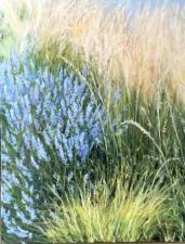 “Summer Grasses”, Oil on canvas by Sarah McHugh.