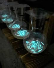 BioArt courses for all ages