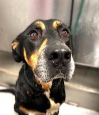 Meet Jerry