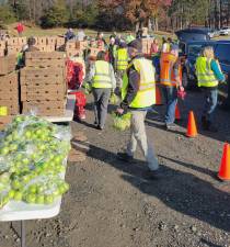 A team of volunteers gather food items and help load them into vehicles.