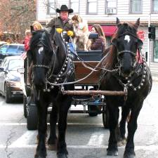 Sean Giery leads a horse-drawn carriage ride around the Village of Warwick