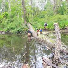 Wawayanda Creek committee members clearing one of the many downed trees.