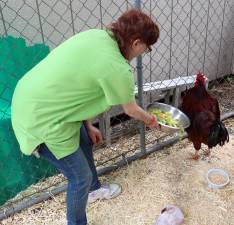 Photo by Roger Gavan Animal Care Attendant Iris Conques serves dinner to &quot;Puff Daddy.&quot;