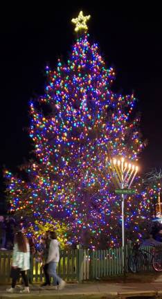 The 30-foot tree was blessed by the Rev. Robert Sweeney, an active member of the Greenwood Lake community for more than 27 years, who had retired as pastor from Holy Rosary Church on Windermere Avenue in 2019. Provided photos.
