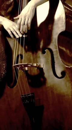 Photo illustration The Institute for Strings in Sugar Loaf is now offering partial and full scholarships for qualified students.