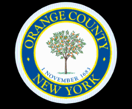 Two candidates vie for District 8 seat on Orange County Legislature