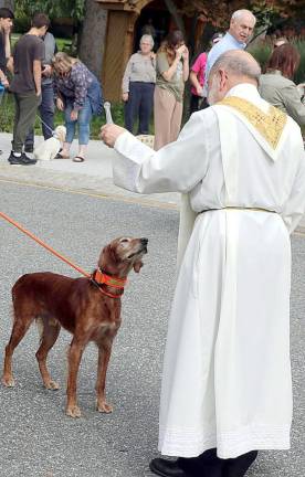 St. Stephen’s pastor, the Rev. Jack Arlotta, made the rounds blessing each pet.