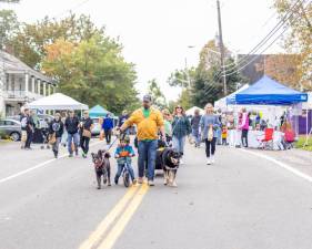 There was something for everyone at the Sugar Loaf Fall Festival.