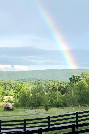 Fifteen minutes later and 10 miles away, Terry Reilly stopped on Glenwood Road in Pine Island overlooking Blue Arrow Farm and found the end of the rainbow.
