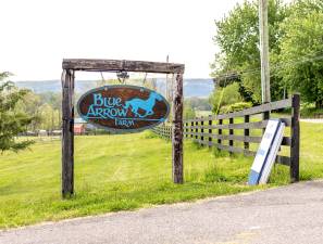 Blue Arrow Farm Pine Island, N.Y.