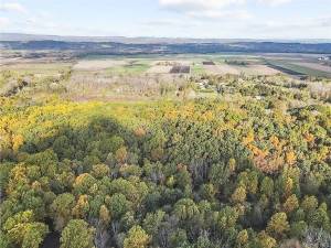 Forty woodsy acres in Pine Island for dream home creation