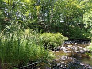 Black Meadow Creek with the Heritage Trail in the background.