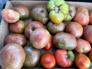 Heirloom tomatoes available at the Lakeside Farmers Market in Greenwood Lake. Photo by Peter Lyons Hall.
