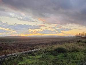 The view from Pulaski Highway.