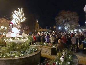 Lights and song at Railroad Green Park on Nov. 19