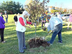 From left, guest Lily McLean and Jim Bowes, from the Warwick Valley Gardeners, at the planting of a Kousa Dogwood at Kings Estates’ playground during an Arbor Day celebration that had been delayed by COVID-19 restrictions. Provided photo.