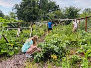 Common Ground Community Garden is one of 15 local food gardens on this year’s Kitchen Garden Tour