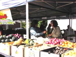 Qualifying seniors may pick up coupons at the supervisor’s office to purchase local produce.