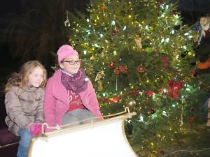 The Pine Island Chamber of Commerce will host its ninth annual Tree Lighting in on Dec.4