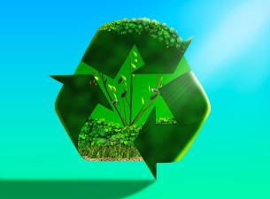 Warwick residents can participate in upcoming sustainability-focused events.