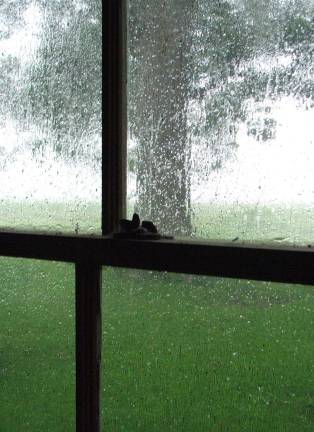 Tell your Hurricane Sandy story