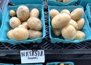 Collaboration is Market’s key ingredient
