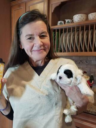 Therese “Traci” Lodovichetti