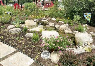 The Pine Island Butterfly Garden and Habitat’s new water feature is now open at the Pine Island Park.