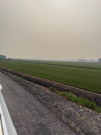 Haze hangs over the sod fields of Pine Island Turf. Photo: Kelsey Gurda