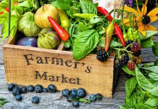 The market includes produce, plants, wine, baked goods, meat and dairy products, and much more!