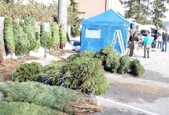 On Saturday and Sunday, Dec. 7 and 8, the creators of the summer Warwick Food Truck Festival hosted “Trucks N Trees,” a well-attended event featuring popular food truck fare and Christmas tree sales.