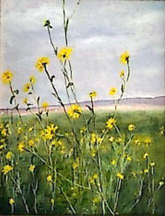 Many mediums, many subjects in Warwick Art League library show