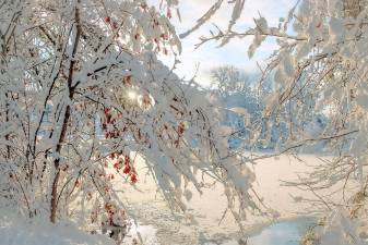 Toni Vogel shared this image she took at Monday, Dec. 2, at the pond on the corner of Rita Marie Lane and Amity Road.