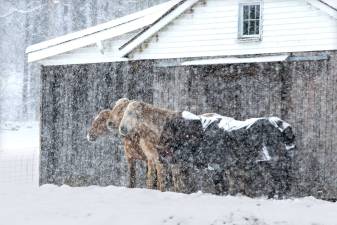 April snow