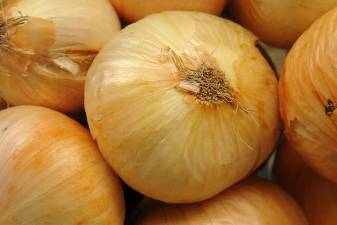 Photo by Osvaldo Gago via wikimedia.org The Pine Island Chamber of Commerce will hold its eleventh annual Pine Island Onion Eating Contest on Sunday, Sept. 2, at the Polish Legion of American Veterans Pavilion.