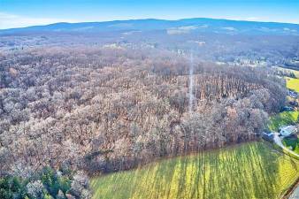 Seventeen acres for the envisioned home minutes from Village of Warwick